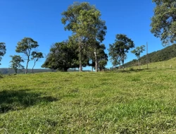 FAZENDINHA EM  RIO DO PEIXE