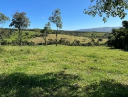 FAZENDINHA EM  RIO DO PEIXE