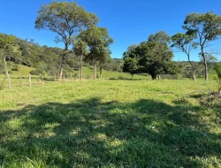 FAZENDINHA EM  RIO DO PEIXE