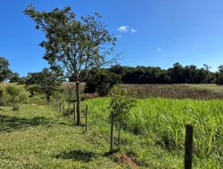 FAZENDINHA EM  RIO DO PEIXE