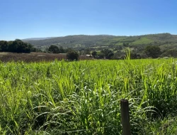 FAZENDINHA EM  RIO DO PEIXE