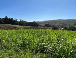 FAZENDINHA EM  RIO DO PEIXE