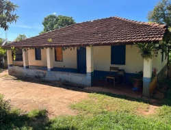 SÍTIO DENTRO DE CAPOEIRA GRANDE ,RICO EM ÁGUA , CALÇAMENTO NA PORTA.