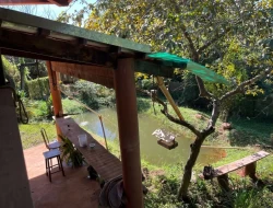 SÍTIO DENTRO DE CAPOEIRA GRANDE ,RICO EM ÁGUA , CALÇAMENTO NA PORTA.