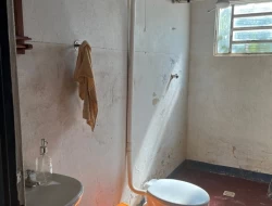 SÍTIO DENTRO DE CAPOEIRA GRANDE ,RICO EM ÁGUA , CALÇAMENTO NA PORTA.