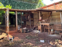 SÍTIO DENTRO DE CAPOEIRA GRANDE ,RICO EM ÁGUA , CALÇAMENTO NA PORTA.