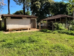 SÍTIO DENTRO DE CAPOEIRA GRANDE ,RICO EM ÁGUA , CALÇAMENTO NA PORTA.