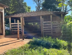 SÍTIO DENTRO DE CAPOEIRA GRANDE ,RICO EM ÁGUA , CALÇAMENTO NA PORTA.