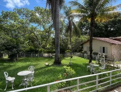 SITIO 3,5 HECTARES NOS PAULA