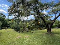 SITIO 3,5 HECTARES NOS PAULA