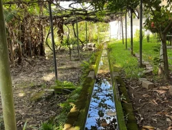 SITIO 3,5 HECTARES NOS PAULA