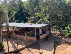 SÍTIO EM PARÁ DE MINAS
