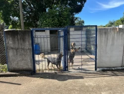 SÍTIO EM PARÁ DE MINAS