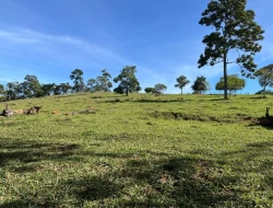 SÍTIO EM PARÁ DE MINAS