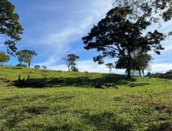 SÍTIO EM PARÁ DE MINAS