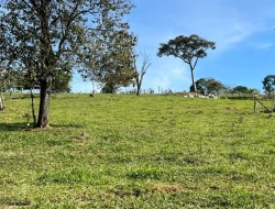 SÍTIO EM PARÁ DE MINAS