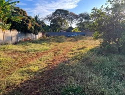 CHÁCARA DENTRO BARRO PRETO