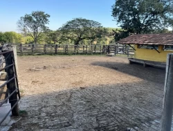 FAZENDA EM CONCEIÇÃO DO PARÁ