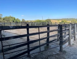 FAZENDA EM CONCEIÇÃO DO PARÁ