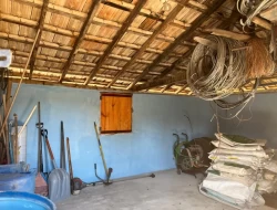 FAZENDA EM CONCEIÇÃO DO PARÁ