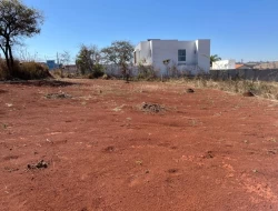 LOTE SENADOR VALADARES