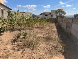 2 LOTES JUNTOS BAIRRO SAO JOSÉ