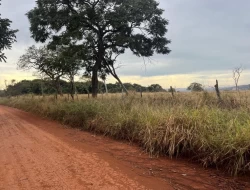 FAZENDA EM CONQUISTA- SÃO JOSÉ DA VARGINHA-MG