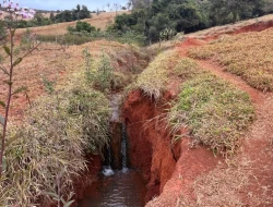 FAZENDA EM CONQUISTA- SÃO JOSÉ DA VARGINHA-MG
