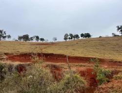 FAZENDA EM CONQUISTA- SÃO JOSÉ DA VARGINHA-MG
