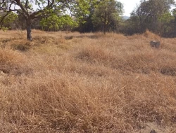CHÁCARA EM SAO JOSÉ DA VARGINHA