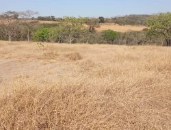 CHÁCARA EM SAO JOSÉ DA VARGINHA