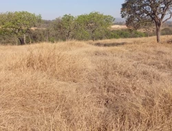 CHÁCARA EM SAO JOSÉ DA VARGINHA