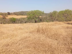 CHÁCARA EM SAO JOSÉ DA VARGINHA
