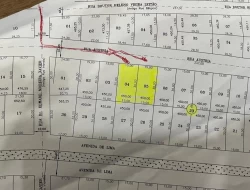 VENDO 02 LOTES SENADOR VALADARES