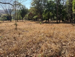 SÍTIO À VENDA – 5 HECTARES – PAIVAS / PARÁ DE MINAS (MG)