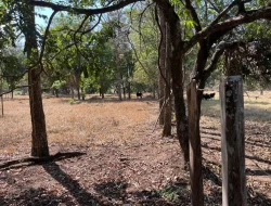 SÍTIO À VENDA – 5 HECTARES – PAIVAS / PARÁ DE MINAS (MG)