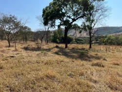SÍTIO À VENDA – 5 HECTARES – PAIVAS / PARÁ DE MINAS (MG)