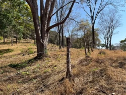 SÍTIO À VENDA – 5 HECTARES – PAIVAS / PARÁ DE MINAS (MG)