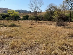 SÍTIO À VENDA – 5 HECTARES – PAIVAS / PARÁ DE MINAS (MG)