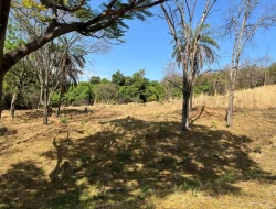 SÍTIO À VENDA – 5 HECTARES – PAIVAS / PARÁ DE MINAS (MG)