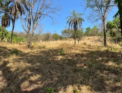 SÍTIO À VENDA – 5 HECTARES – PAIVAS / PARÁ DE MINAS (MG)