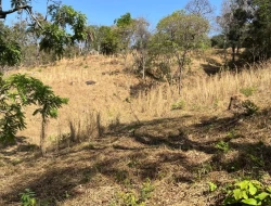 SÍTIO À VENDA – 5 HECTARES – PAIVAS / PARÁ DE MINAS (MG)