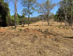 SÍTIO À VENDA – 5 HECTARES – PAIVAS / PARÁ DE MINAS (MG)