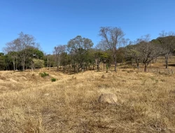 SÍTIO À VENDA – 5 HECTARES – PAIVAS / PARÁ DE MINAS (MG)