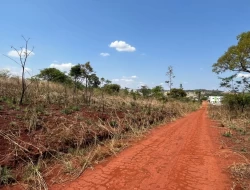 LOTE SENADOR VALADARES