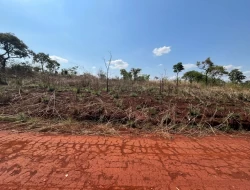 LOTE SENADOR VALADARES