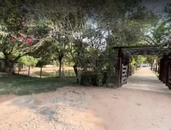 FAZENDA EM MATA DOS PIMENTAS - PARÁ DE MINAS