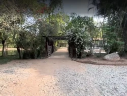 FAZENDA EM MATA DOS PIMENTAS - PARÁ DE MINAS