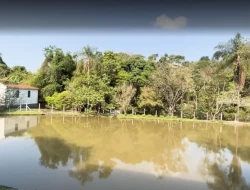 FAZENDA EM MATA DOS PIMENTAS - PARÁ DE MINAS