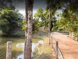 FAZENDA EM MATA DOS PIMENTAS - PARÁ DE MINAS